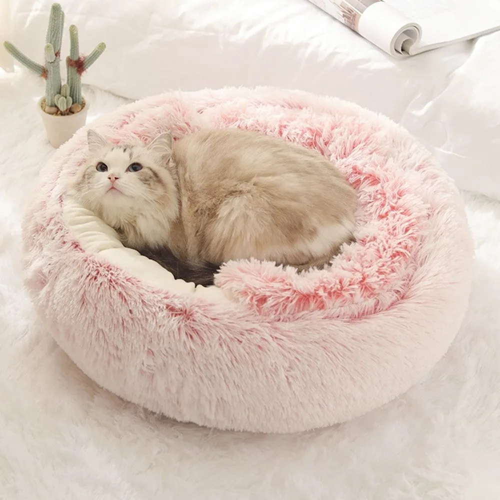 Snuggle Pod
