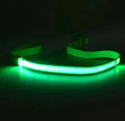 Illuminated LED Dog Leash