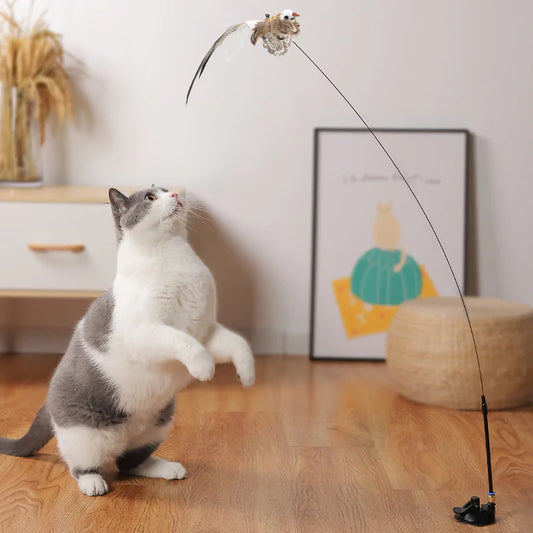 Bird Toys For Cat - 4 Styles Available!