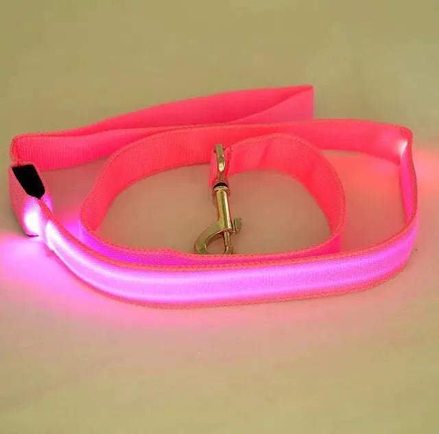 Illuminated LED Dog Leash