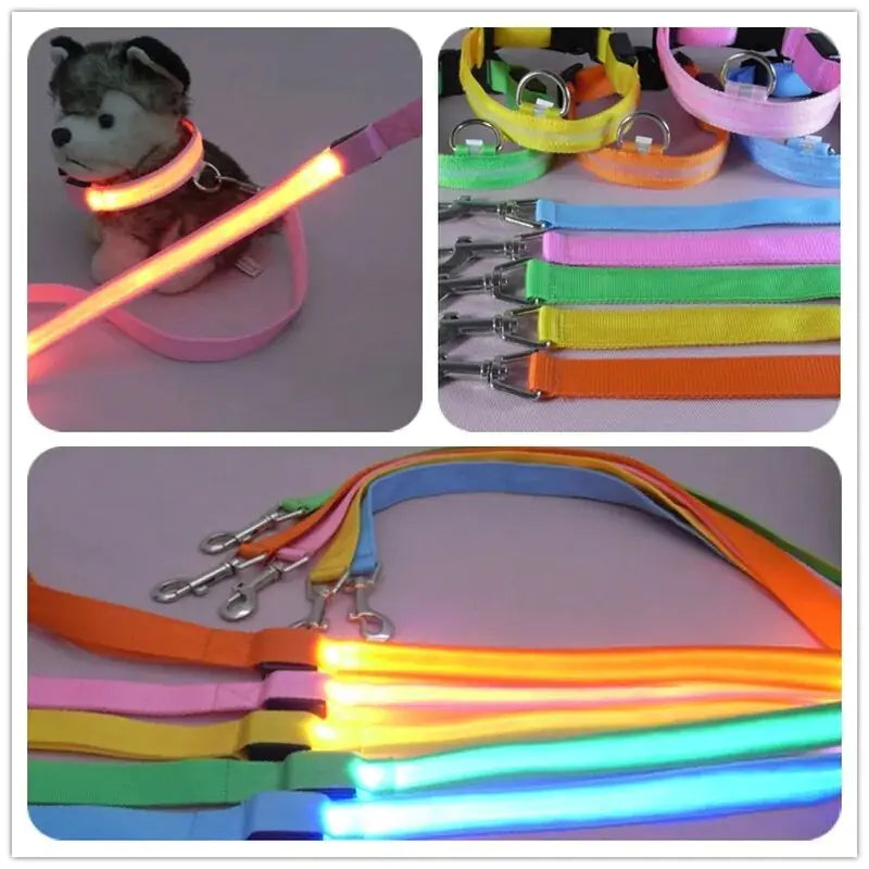 Illuminated LED Dog Leash