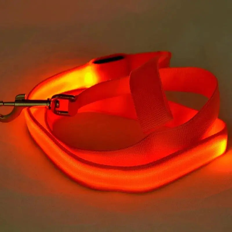 Illuminated LED Dog Leash