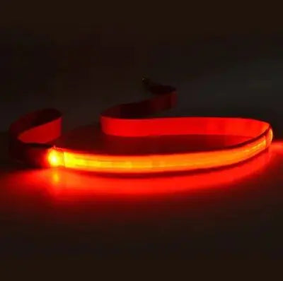 Illuminated LED Dog Leash