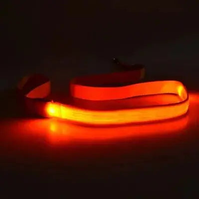 Illuminated LED Dog Leash