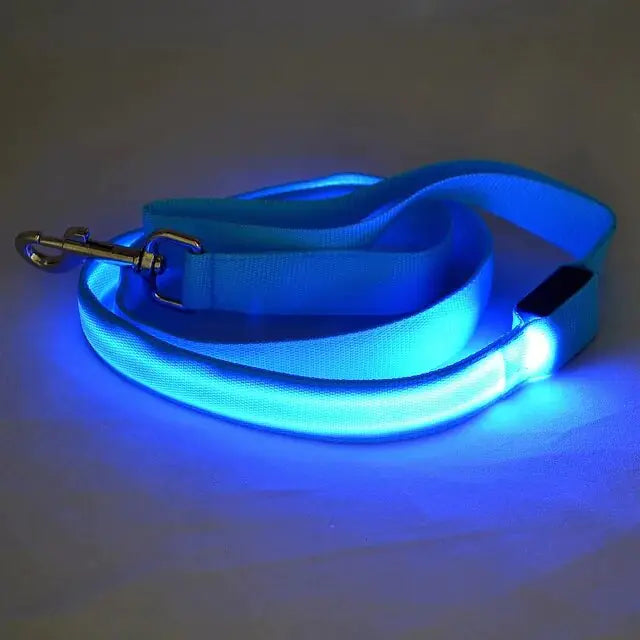 Illuminated LED Dog Leash