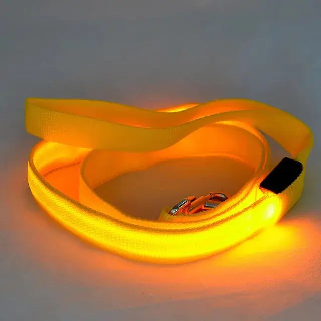 Illuminated LED Dog Leash