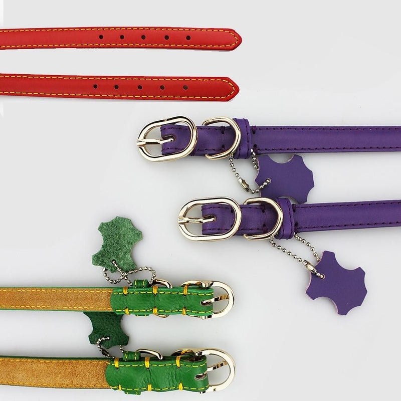 Leather Dog Collar with Hangtag