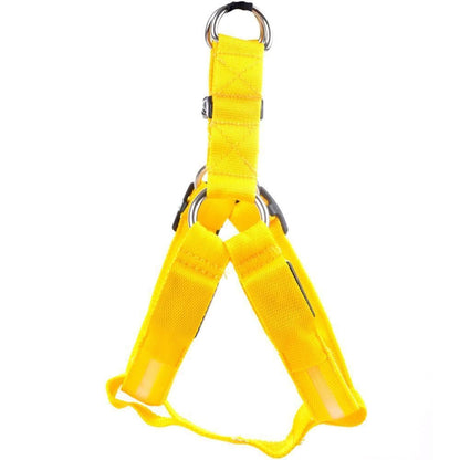 Nylon LED Safety Harness