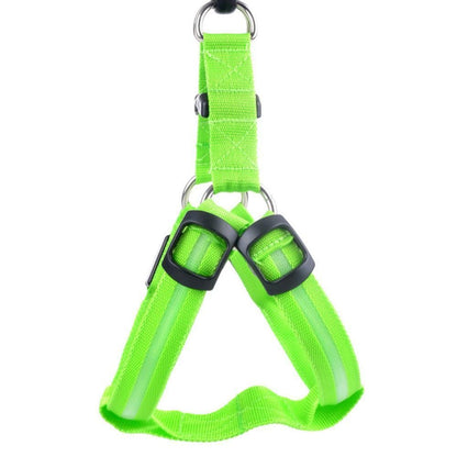 Nylon LED Safety Harness