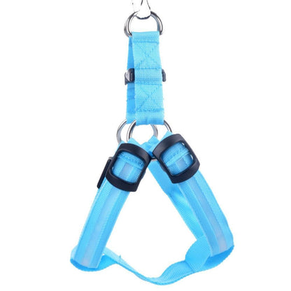 Nylon LED Safety Harness