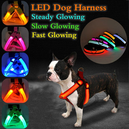 Nylon LED Safety Harness