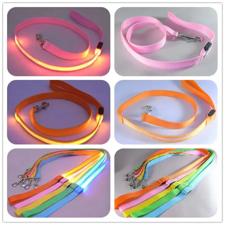 Illuminated LED Dog Leash