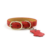 Leather Dog Collar with Hangtag