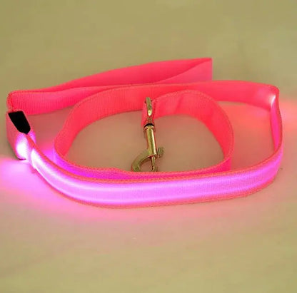 Illuminated LED Dog Leash