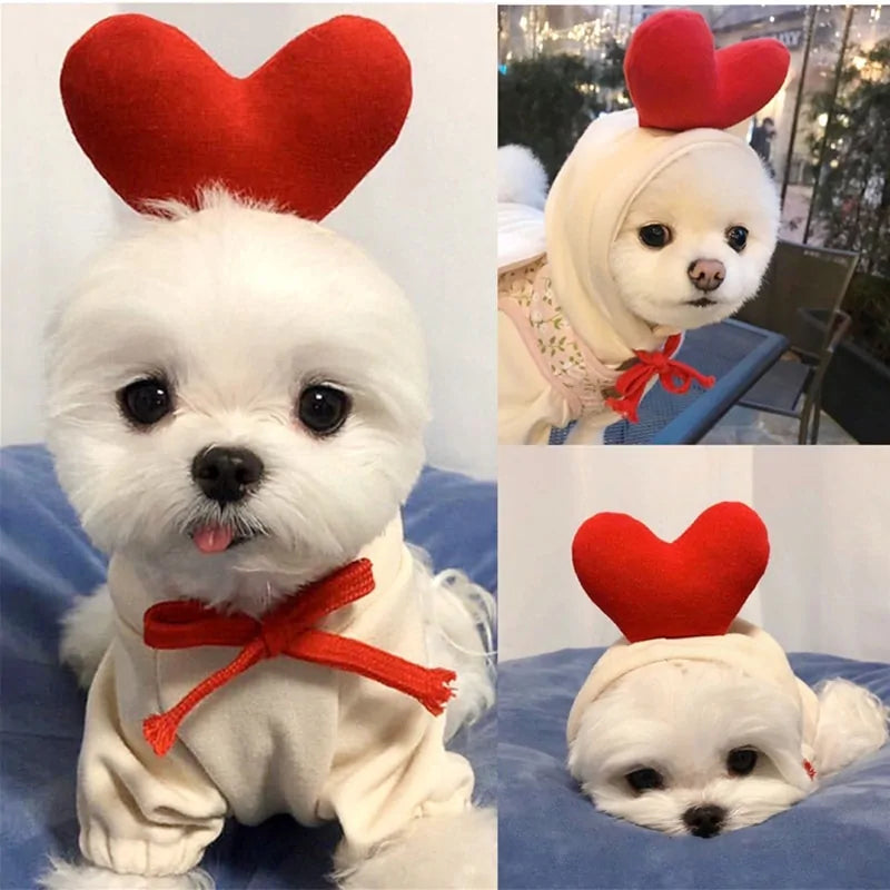 Fruit-Themed Warm Dog Winter Coat Hoodie