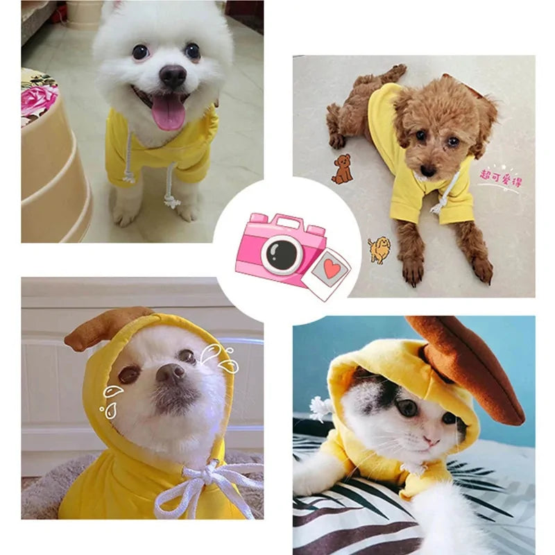 Fruit-Themed Warm Dog Winter Coat Hoodie