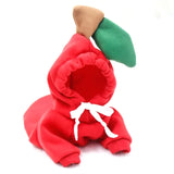Fruit-Themed Warm Dog Winter Coat Hoodie