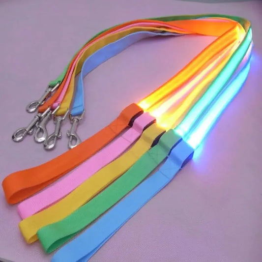 Illuminated LED Dog Leash