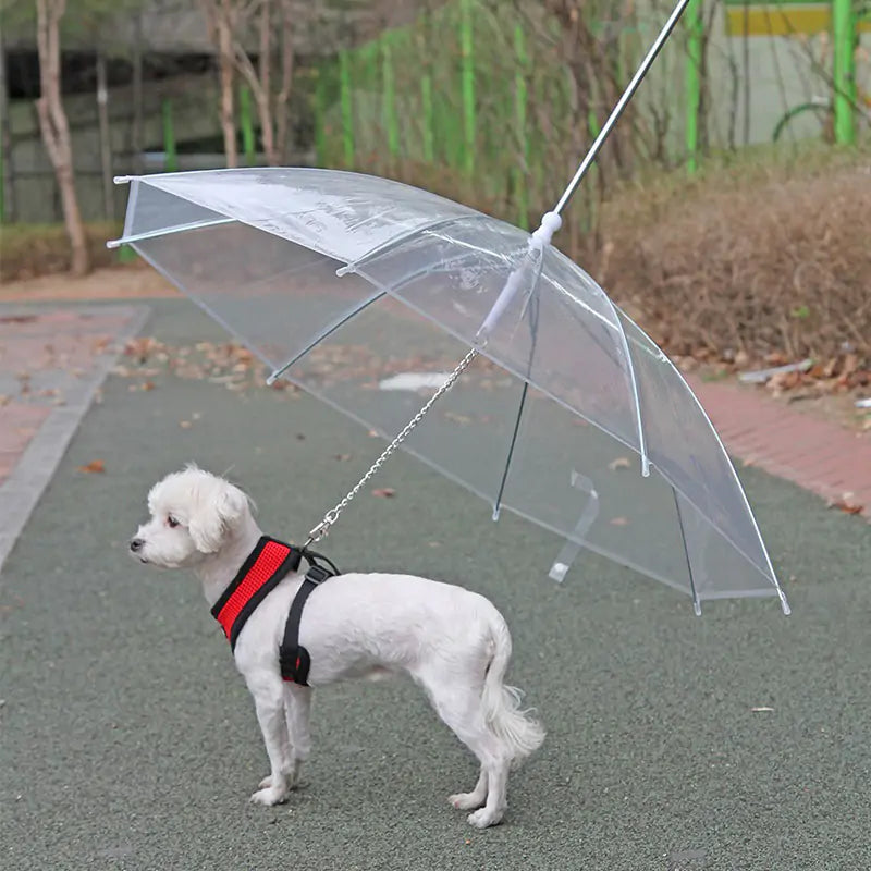 Rainy Days Pet Umbrella Leash