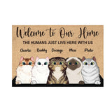 Cartoon Pet Mat