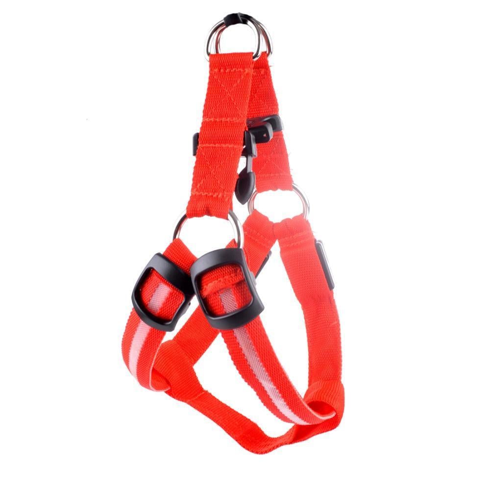 Nylon LED Safety Harness