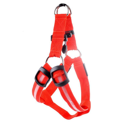 Nylon LED Safety Harness
