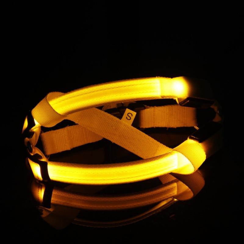 Nylon LED Safety Harness
