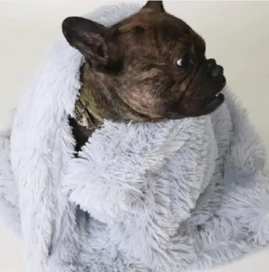 Furry Friends Pet Soft Blanket - Multiple Colors! S/M/L