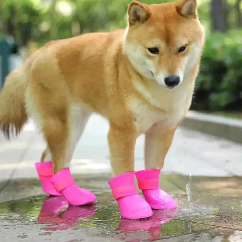 Anti-slip Rubber Boots 4 Pairs/Sizes S - XXL