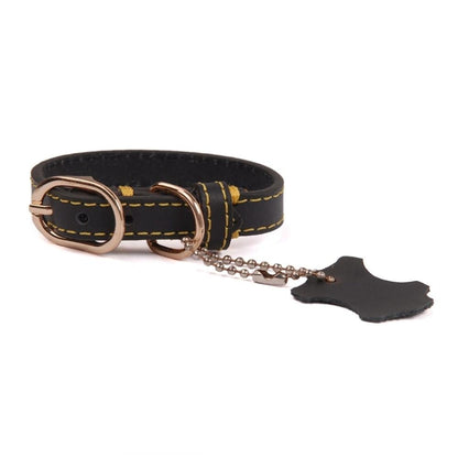 Leather Dog Collar with Hangtag