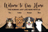 Cartoon Pet Mat
